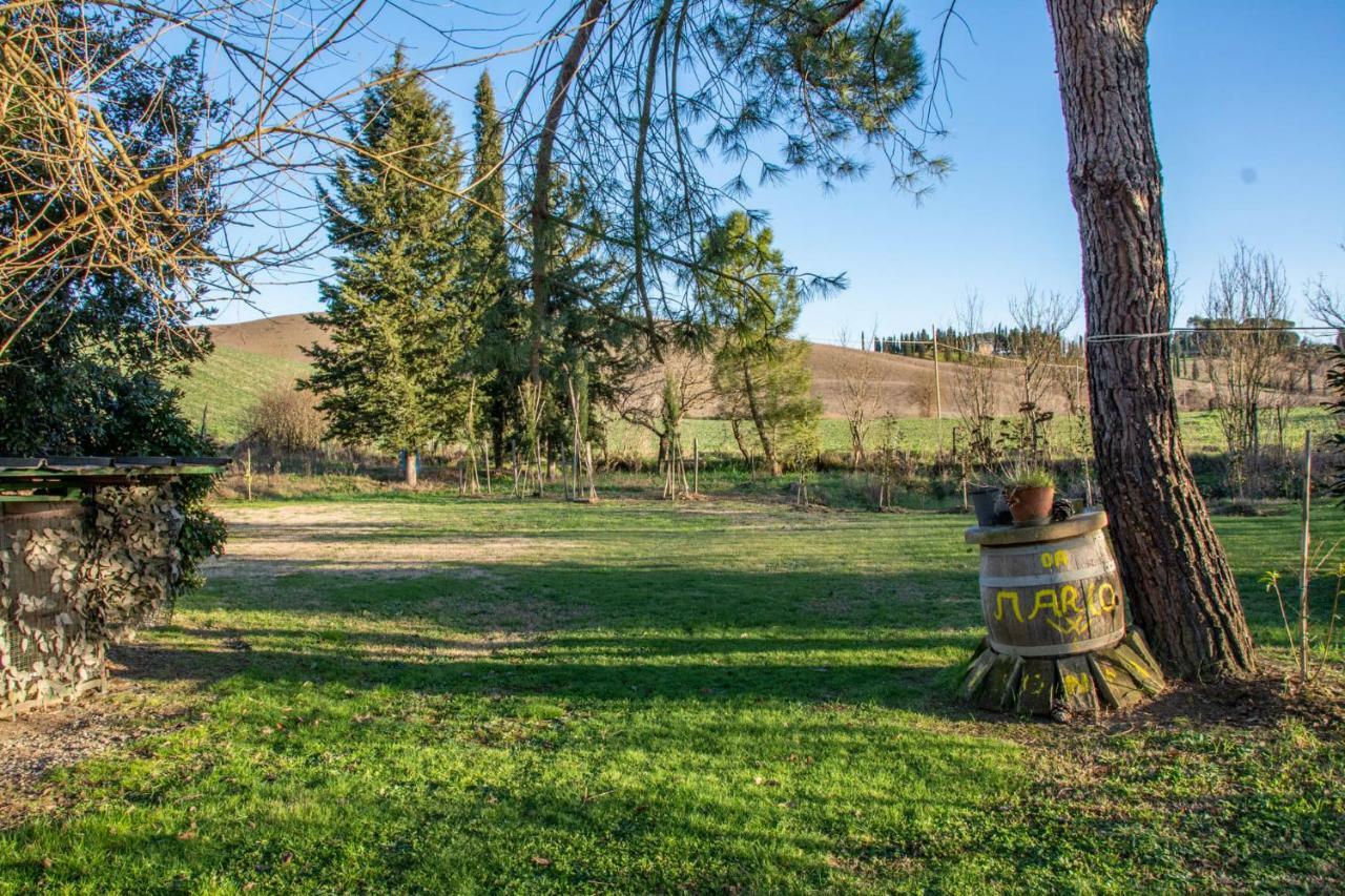 Podere San Bernardino Buonconvento